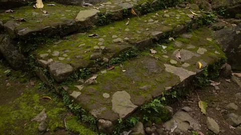 Mossy Natural Stone Steps – Rustic Pathway Design Stock Photos