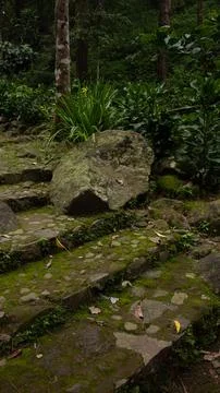 Mossy Natural Stone Steps – Rustic Pathway Design Foto stock