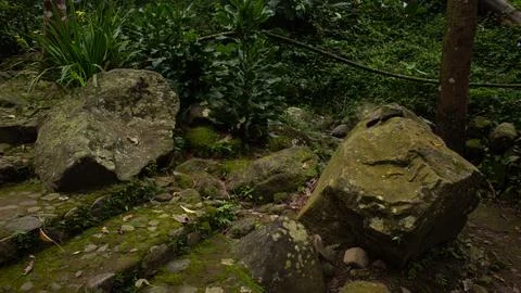 Mossy Natural Stone Steps – Rustic Pathway Design Stock Photos