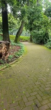 Mossy path in Green Park Stock Photos