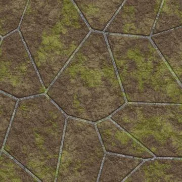 Mossy pavement Ilustración de archivo