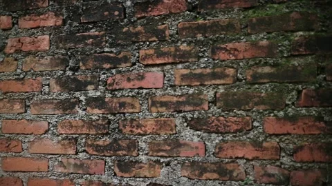 Mossy red brick walls Stock Footage