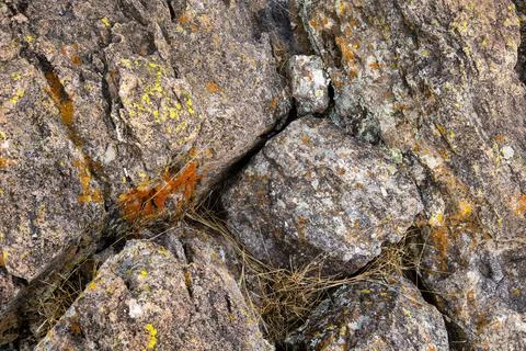 Mossy red rock texture background Foto stock