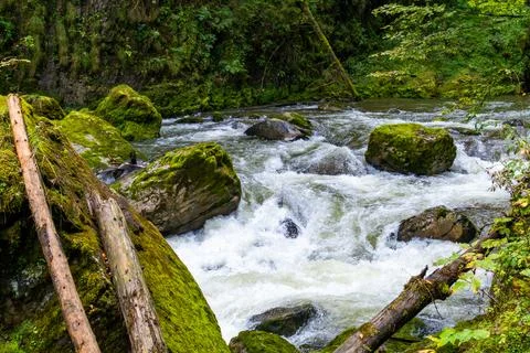Mossy River Rapids in Forest Gorge Stock Photos