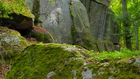 Mossy Rock Formation in the Forest Video stock 316301978