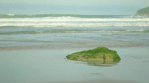 Mossy rock gets hit by wave Stock-Footage 49942747
