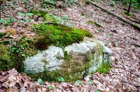 Mossy Rock Foto stock