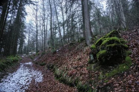 Mossy rock Stock Photos