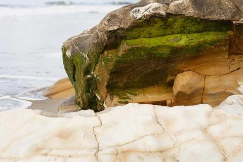 Mossy Rock Stock Photos