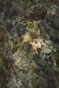 Mossy Rock Photos