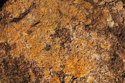 Mossy rock Stock Photos