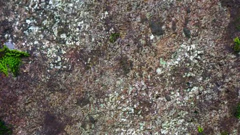 Mossy rock texture as background Stock Photos