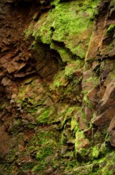 Mossy rock texture Stock Photos