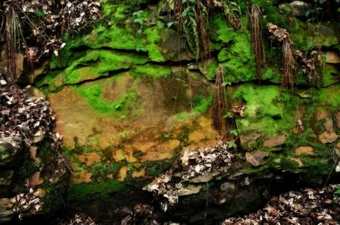 Mossy rock texture Stock Photos