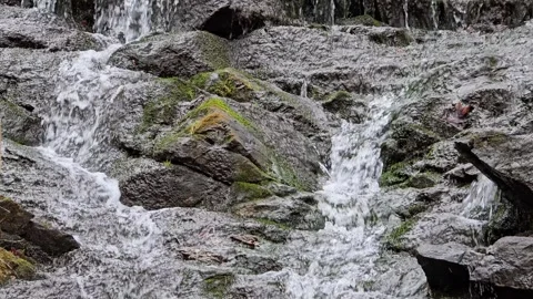 Mossy rock waterfall 2 30fps Stock Footage 305018253