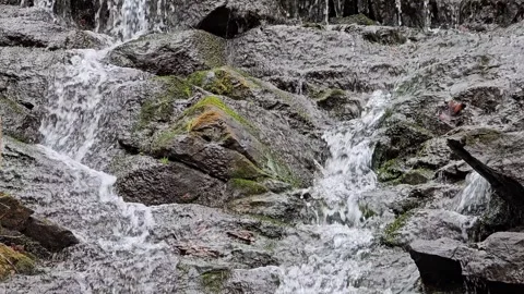 Mossy rock waterfall 2 60fps Stock Footage 305018286