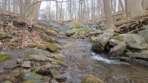 Mossy rock waterfall 5 30fps Stock Footage 305018288