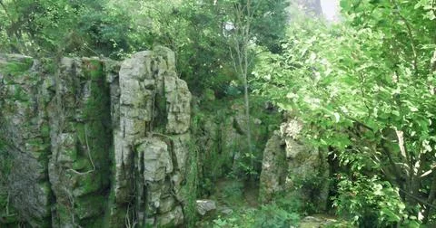 Mossy rocks amidst lush greenery in a peaceful landscape Stock Illustration