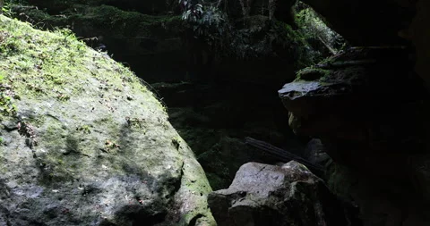 Mossy Rocks And Algae in Water Stock Footage 335612955