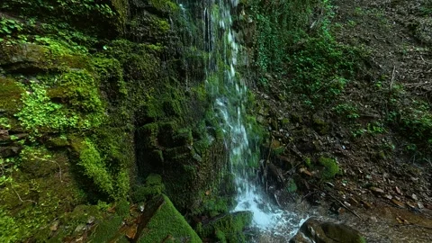 Mossy rocks and cascading waterfall. Balkans, Serbia. Stock Footage 336894068