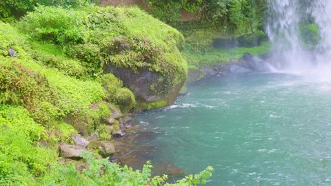 Mossy rocks and emerald green water surface at waterfall basin 動画素材 341806335