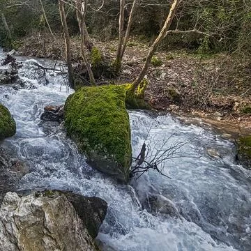 Mossy rocks and forest stream vertical shot. Stock Photos