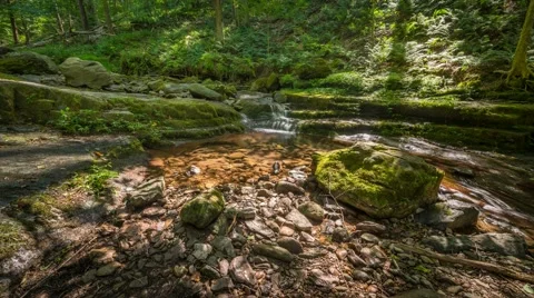 Mossy Rocks and Stream Time Lapse Vidéo 66757146