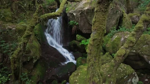 Mossy Rocks At Cascada de Santo Estevo do Ermo Waterfall Stock-Footage 336795359