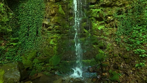 Mossy rocks cascade with clear water into a shallow pool. Balkans, Serbia. Vídeos de archivo 336893438