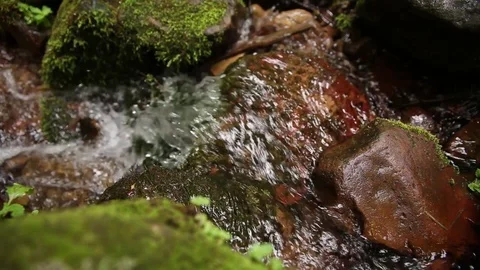Mossy Rocks in flowing stream Stock Footage 93996046