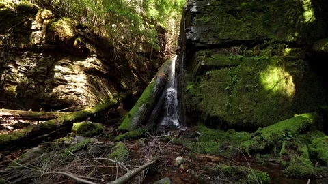 Mossy Rocks Stock Footage 83248955