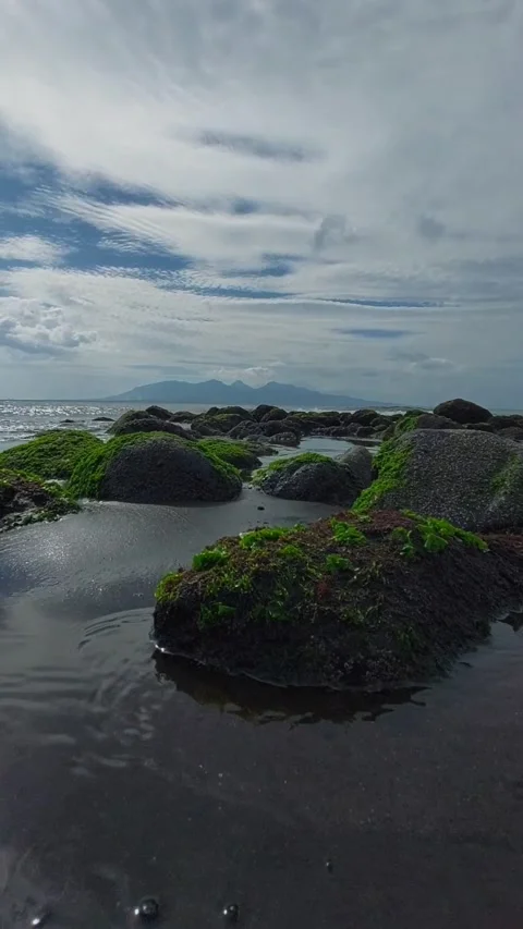 Mossy rocks Stock Footage 211090026
