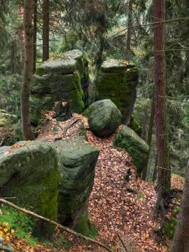 Mossy rocks in the forest Stock Photos