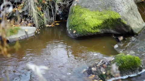 Mossy rocks in forest river close up Video stock 32691394