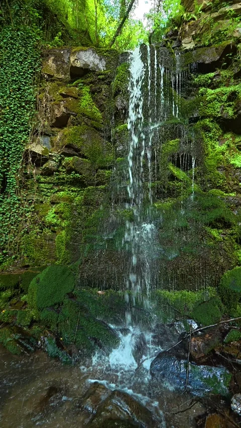 Mossy rocks frame a gentle, clear waterfall. Balkans, Serbia. Vertical Stock-Footage 336895005