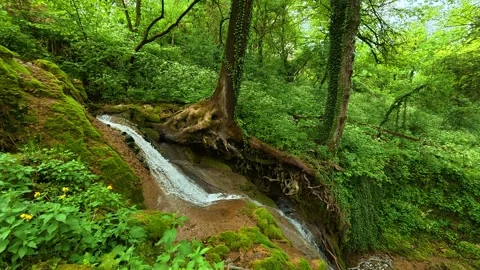 Mossy rocks frame a gentle waterfall. Sokobanja, Serbia. Stock Footage 335835571