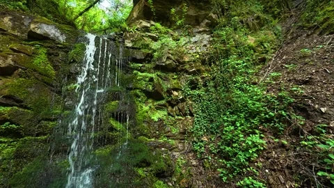 Mossy rocks frame a gentle waterfall's descent. Balkans, Serbia. Stock Footage 336893633