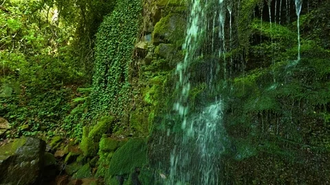 Mossy rocks frame a quiet, cascading waterfall. Balkans, Serbia. Stock Footage 336893938