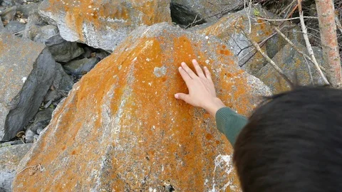 Mossy rocks, moss on the north side of the rocks, direction finding techniques, 動画素材 101351005