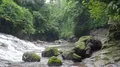 Mossy rocks in small hidden waterfall valley jungle valley in Bali - Indonesia 4k or 4k+ Resolution