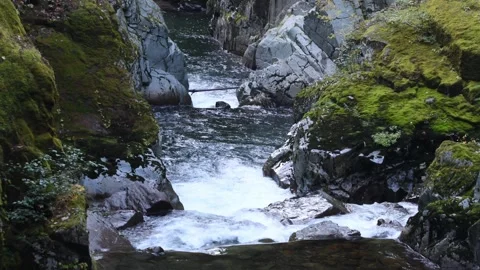 Mossy rocks surrounding a rushing river Stock Footage 270795128