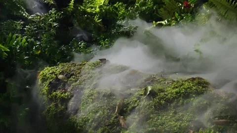 Mossy rocks with thick water mist. Stock Footage 341336259