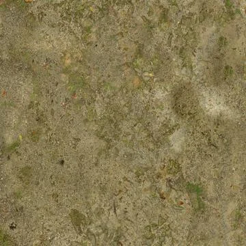 Mossy Sandy Soil Surface With Tiny Green Plants Stock Photos
