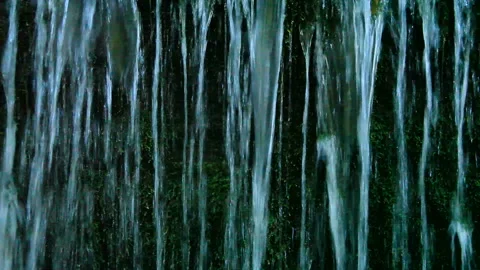 Mossy Spring of Shiraito Falls 库存影片 324893620