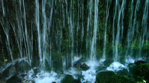 Mossy Spring of Shiraito Falls Stock Footage 324894499