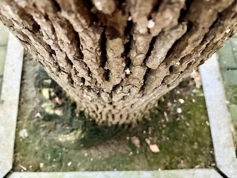 Mossy stone column with water below. Stock Photos