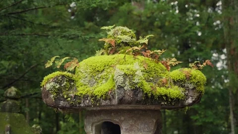 Mossy stone lantern at Nikko Toshogu shrine in Japan Vidéo 344010608