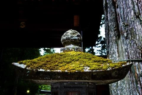 Mossy stone lantern Stock Photos