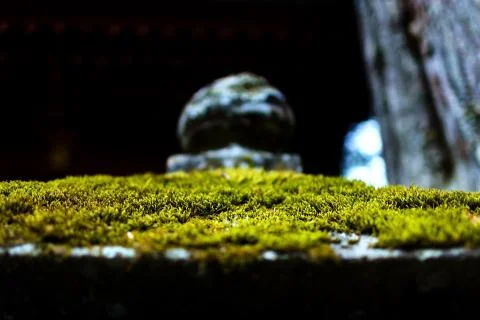 Mossy stone lantern Stock Photos