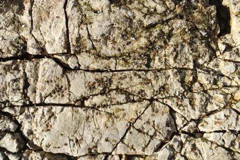 Mossy stone. Natural stone patterns Stock Photos